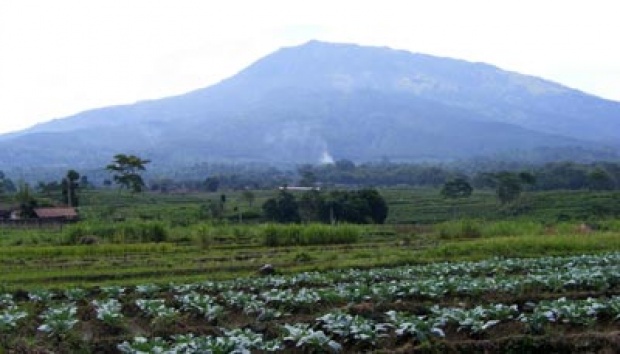 Pendaki Gunung Lawu Tewas
