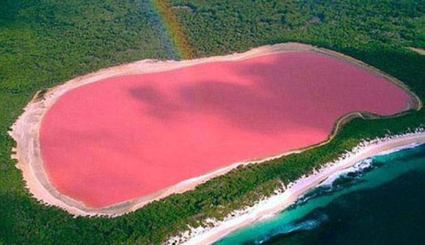 8 Fenomena Danau 'Milkshake Strawberry' 