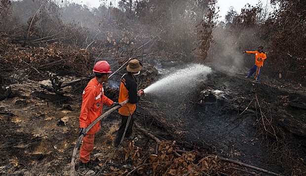 Asap di Riau, Kepala Desa Perambah Hutan Ditangkap