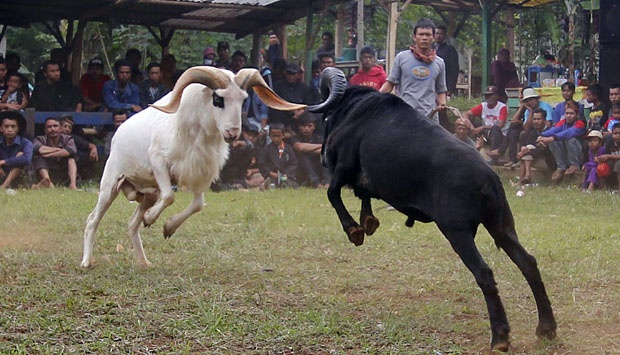 Semoga Ramadan Menyatukan Kita