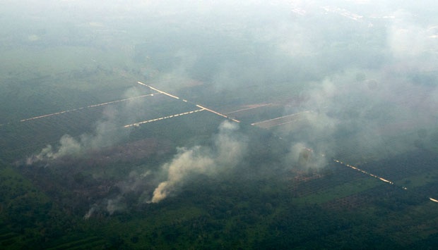 Minim Hujan, Kebakaran Hutan Riau Kian Meluas