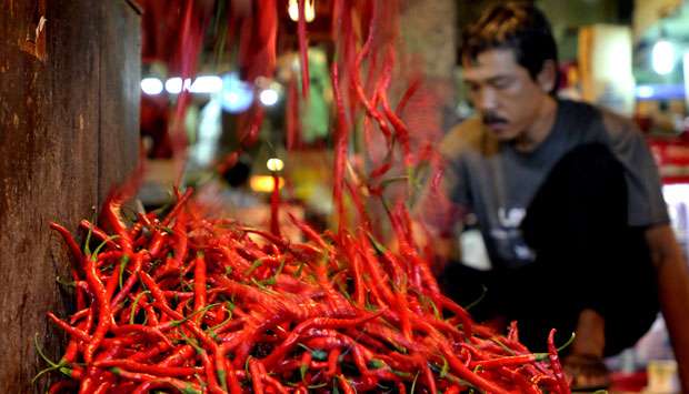 Tanaman Membusuk, Harga Cabai Terjun Bebas Rp 6.000 Sekilo