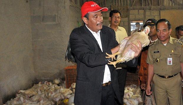 Kena Bau Ayam, Djarot Tegur Pejabat Jakarta Timur