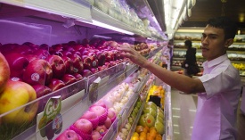 Waspada!!! Bagi Pecinta Apel Masuk!!!