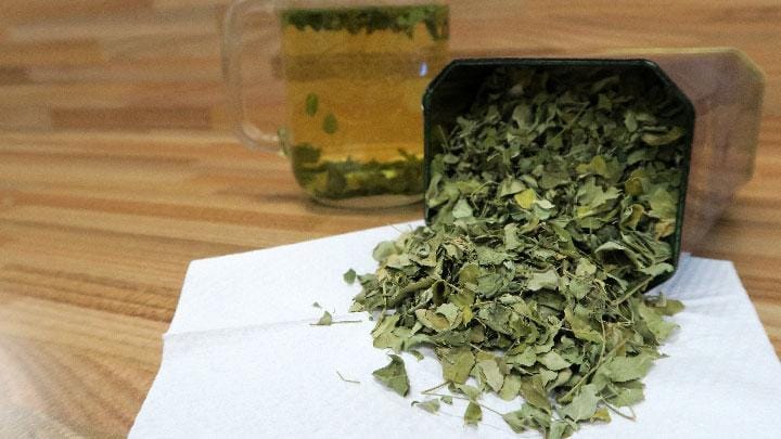cek-cara-mengkonsumsi-daun-kelor-agar-manfaatnya-optimal