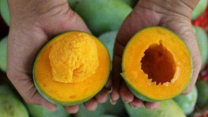 Kenalan Yuk Bray Sama Buah Mangga Yang Lagi Viral Ini 