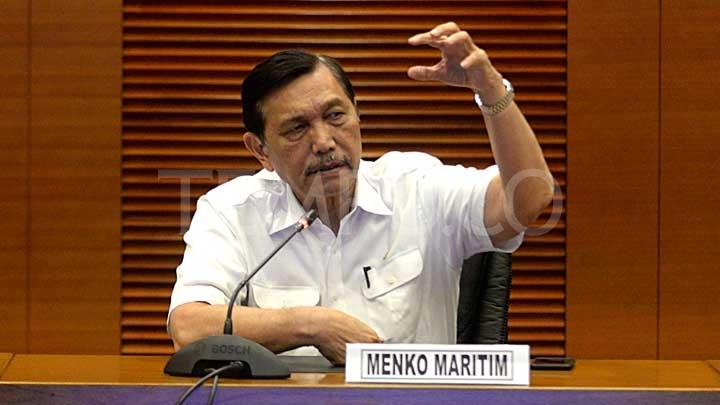 luhut-dongkol-namanya-disebut--sebut-di-laporan-coalruption