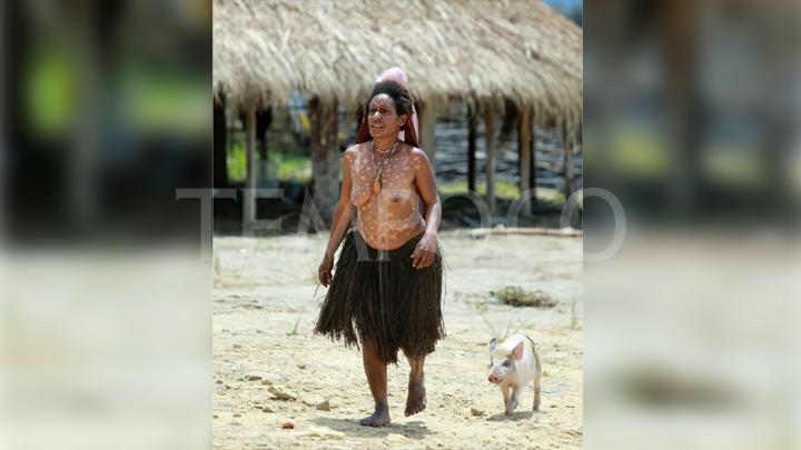 Babi Dianggap Sebagai `Anak Kedua` Bagi Ibu- ibu di Wamena papua