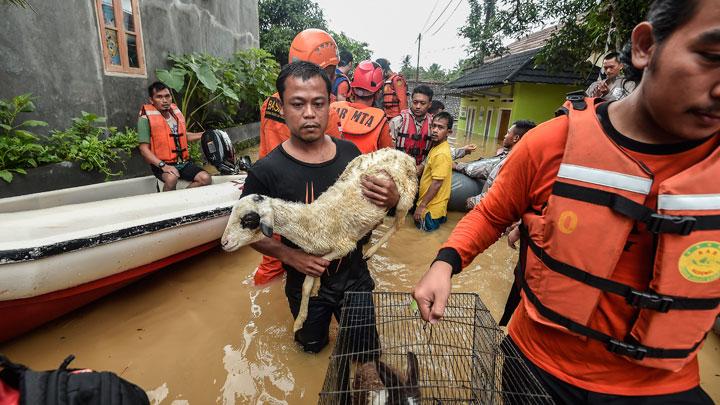 anies-baswedan-bagikan-layanan-keselamatan-hewan-saat-banjir