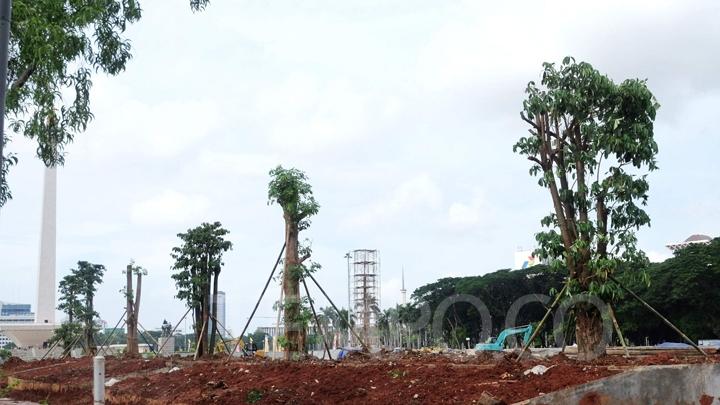 Dinas Cipta Karya Akui Tebang Pohon di Monas Tanpa Izin 