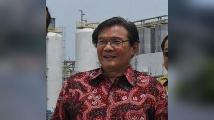 Perusahaan Prajogo Pangestu Mendapat Kredit Rp 2,4 Triliun dari BNI