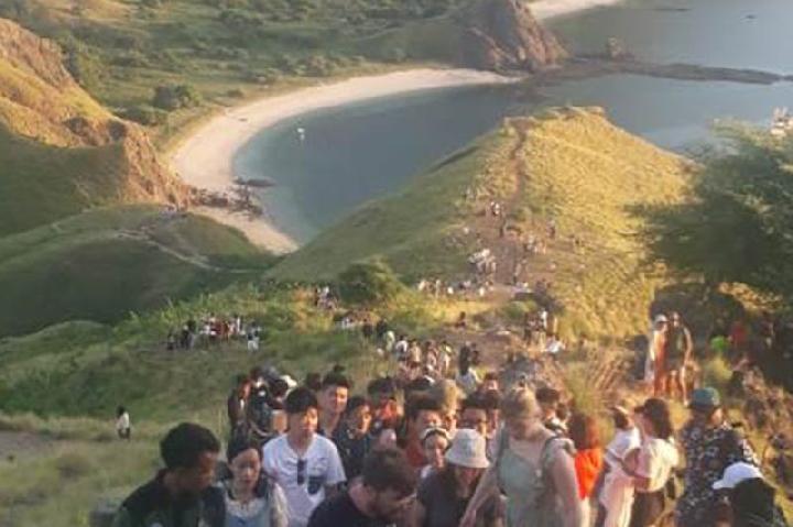 Ramainya Labuan Bajo, Cerita Agen Perjalanan Kewalahan Layani Wisatawan