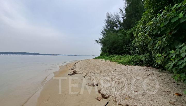 Ini Rencana Mega Proyek Singapura yang Akan Butuhkan Pasir Laut Indonesia