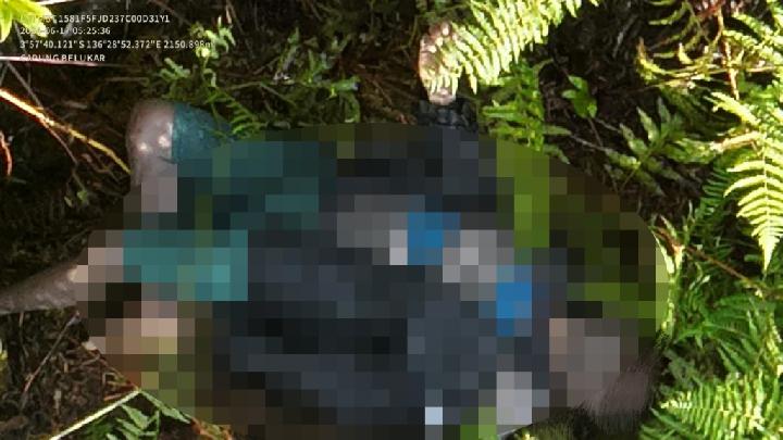 Danis Murib, Anggota Kodam V Brawijaya Ditembak Mati Usai Jadi TPNPB-OPM