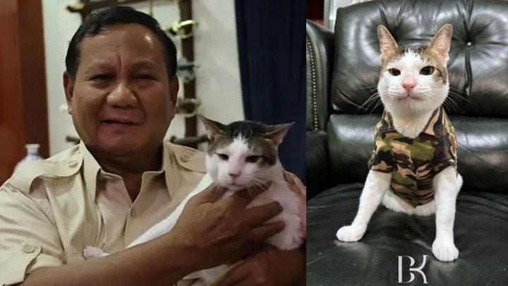 Perlakuan Istimewa Kucing Bobby Kertanegara dgn Fasilitas Negara Dinilai Berlebihan