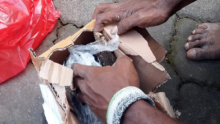 Kreator Konten di Bogor Mendapat Kiriman Paket Kepala Babi
