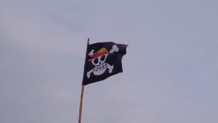 Aparat Cari Masyarakat yang Kibarkan Bendera One Piece Lewat Ketua RT