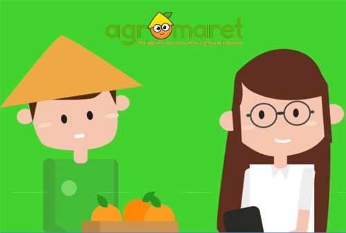 5 Marketplace Pertanian yang Bisa Digunakan Petani untuk Menjual Produk Secara Online
