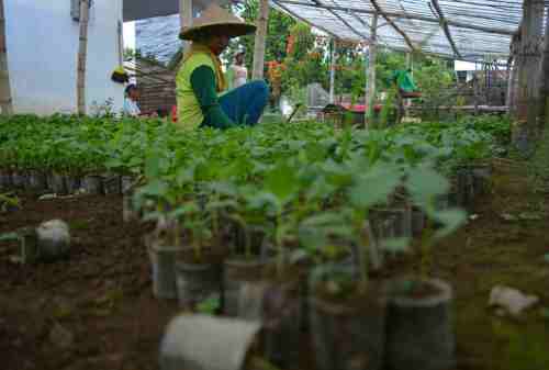 Tinggal Jauh Dari Kota? Ini Jenis Usaha di Desa yang Bikin Untung