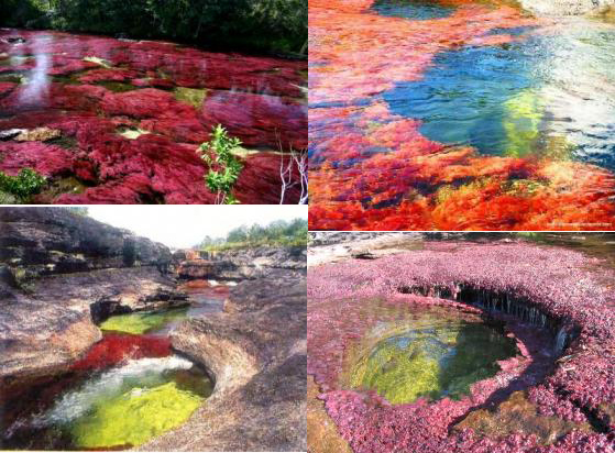  Sungai TerCantik di Dunia 