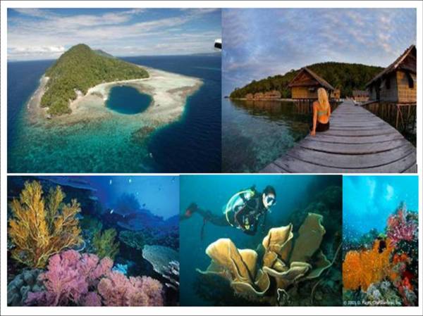 Pesona Keindahan Raja AMPAT,Taman Laut Terbesar Didunia