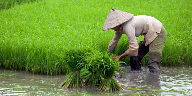Indonesia Darurat Petani Muda