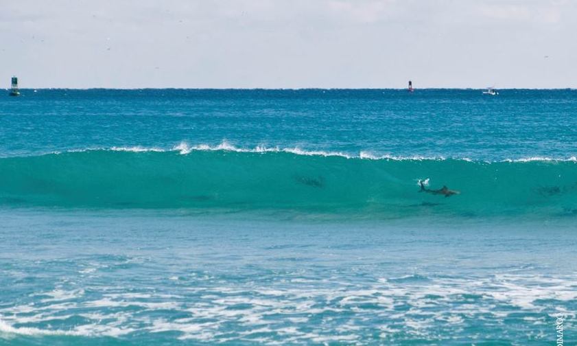 Ini Dia Laut Yang Paling Menyeramkan Di Dunia