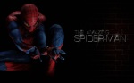 &#91;Official Thread&#93; The Amazing Spider-Man (2012) | Update Page 1