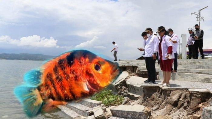 Ikan Iblis Merah Resahkan Nelayan
