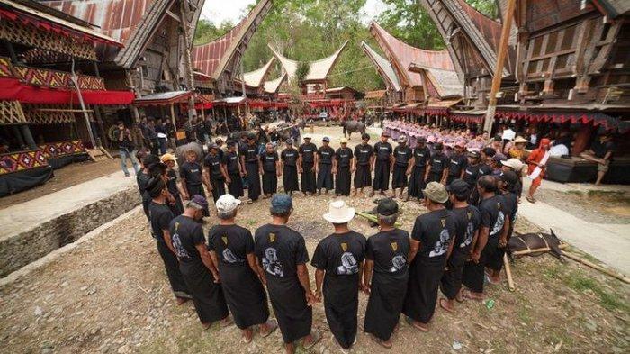 Kasus Virus ASF pada Babi Ancam Kegiatan Adat di Tana Toraja