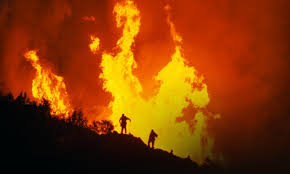 Manakah yang paling HOT menurut Agan?