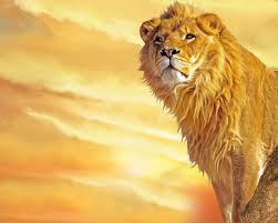 Download 910 Koleksi Gambar Harimau Terkeren Terbaru Gratis HD
