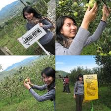 Belajar dari Pohon Yuk.....