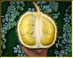 Beruntunlah anda yang suka durian,lezat dan bergizi