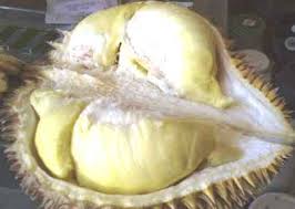 Beruntunlah anda yang suka durian,lezat dan bergizi