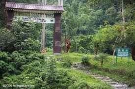 11 Objek Wisata Indonesia Yang Berstatus World Heritage - Part 2