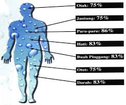 7 Kebiasaan Sehat di Pagi Hari Yang Lebih Baik Anda Terapkan