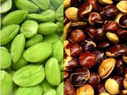 6-macam-aroma-miss-v-dari-manis-hingga-amis