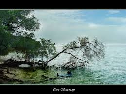 11 Objek Wisata Indonesia Yang Berstatus World Heritage - Part 2