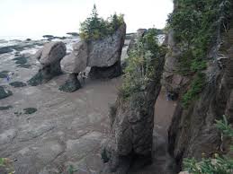 Keajaiban Formasi Batuan Alam &quot;Bay Of Fundy&quot;