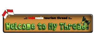 Treehotel, Hotel Ramah Lingkungan di Tengah Hutan Boreal Swedia