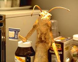 10 Karakter Alien dalam Film yang Paling Memorable
