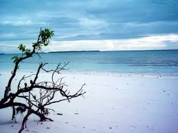 Kepulauan Banda, Eksotisme Bawah Laut Indonesia