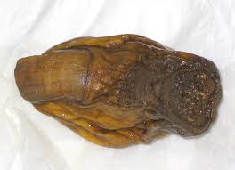 Minuman Jempol KAKI!!!