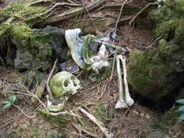 Aokigahara tempat bunuh diri di jepang(+pic)
