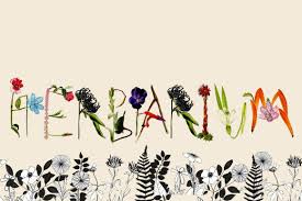 HERBARIUM itu adalah... &#91;PIC++&#93;