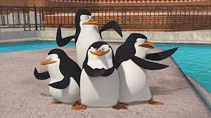 serius-gan-ane-barusan-nemu-pinguin-di-rumah-ane