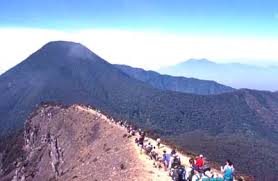 FR trip to puncak gunung gede pangrango &#91;versi newbie&#93;