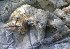 Memahami Kebenaran Kisah Malin Kundang dari Kacamata Science (Sains)