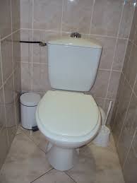 BH dan WC, Singkatan Dari Bahasa Apa?